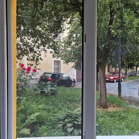 Juno Daire Sibiu Dış mekan fotoğraf